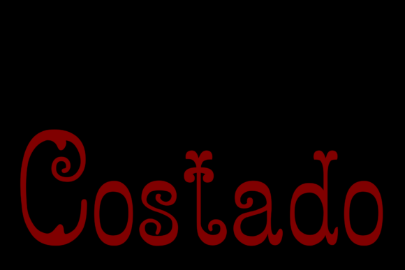 Costado: A Designer’s Take on Real-World Use